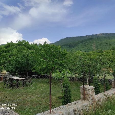 Villa Aleks à Ohrid Extérieur photo