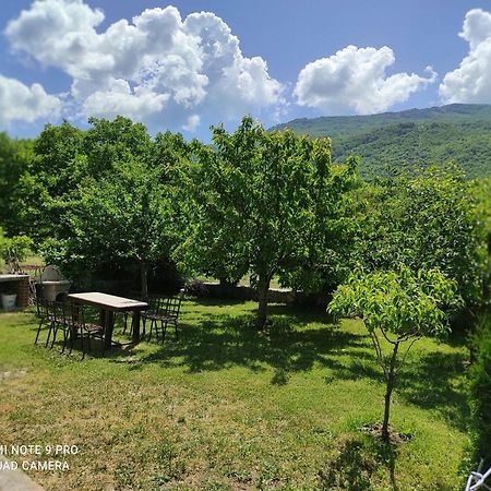 Villa Aleks à Ohrid Extérieur photo