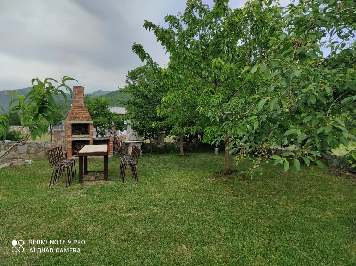 Villa Aleks à Ohrid Extérieur photo