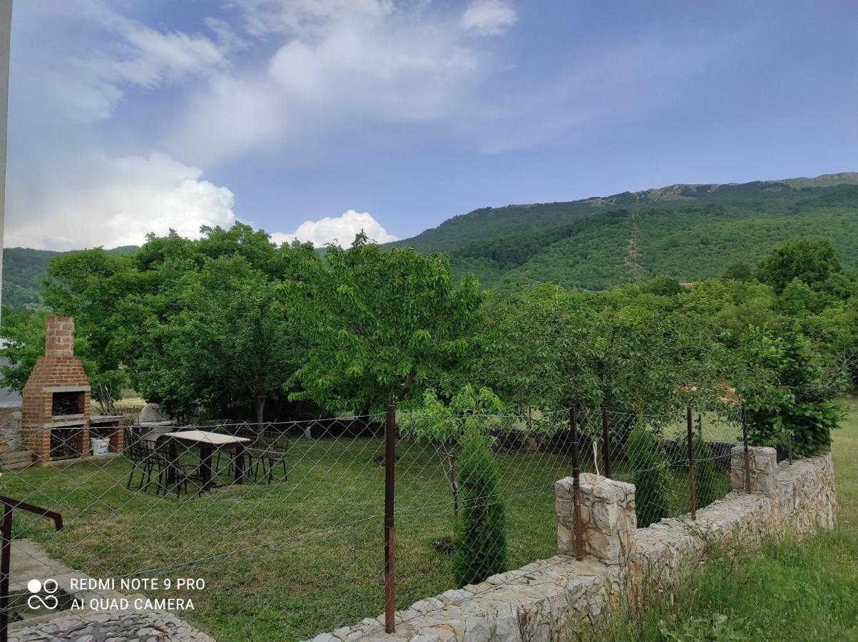 Villa Aleks à Ohrid Extérieur photo