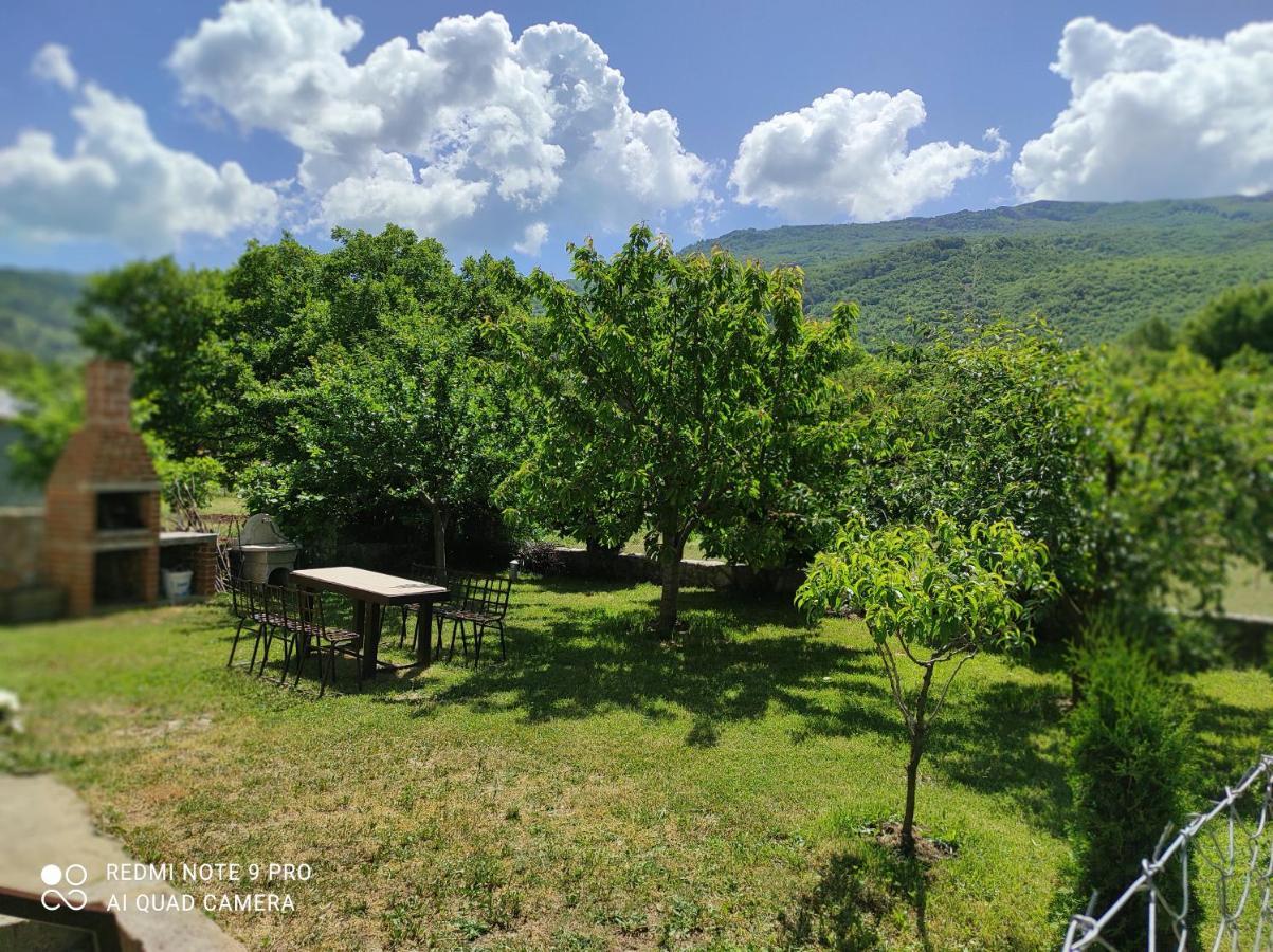 Villa Aleks à Ohrid Extérieur photo