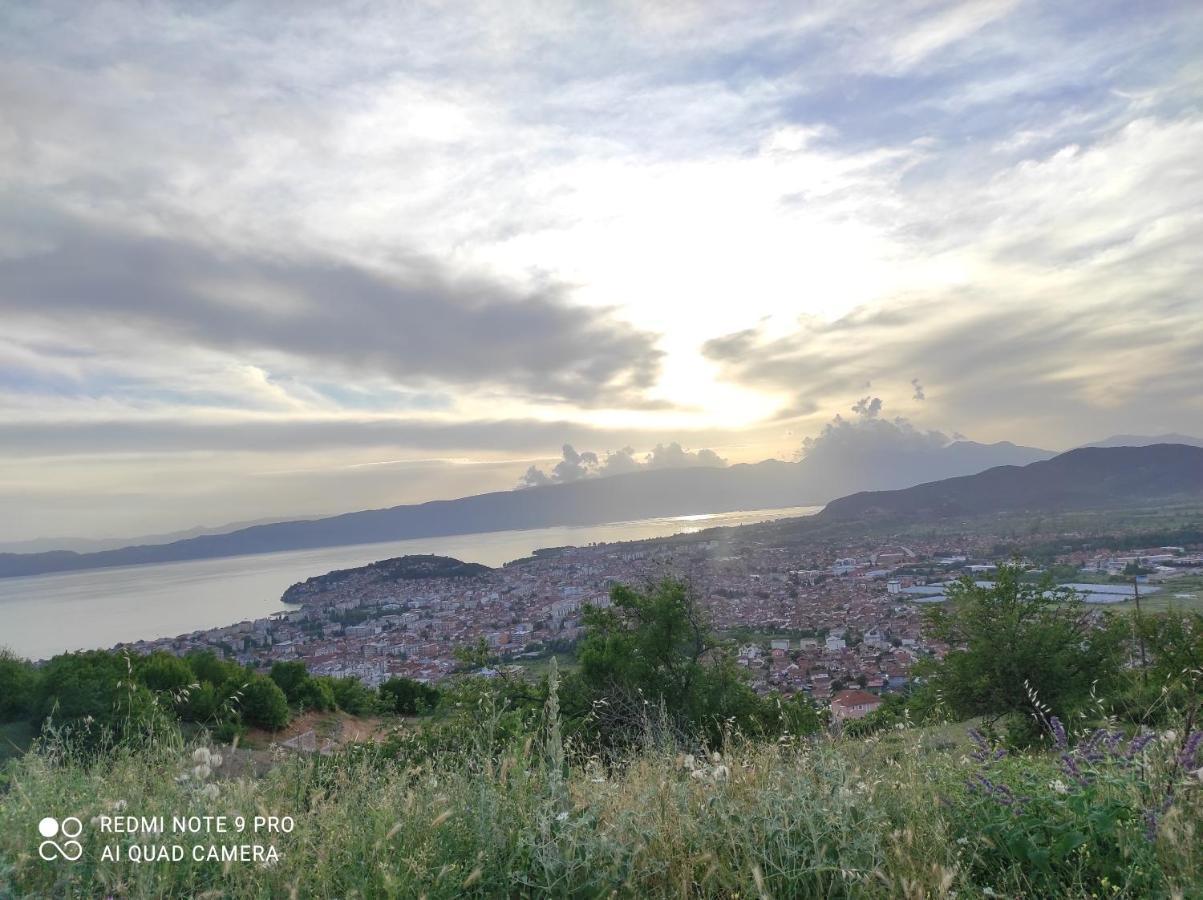 Villa Aleks à Ohrid Extérieur photo